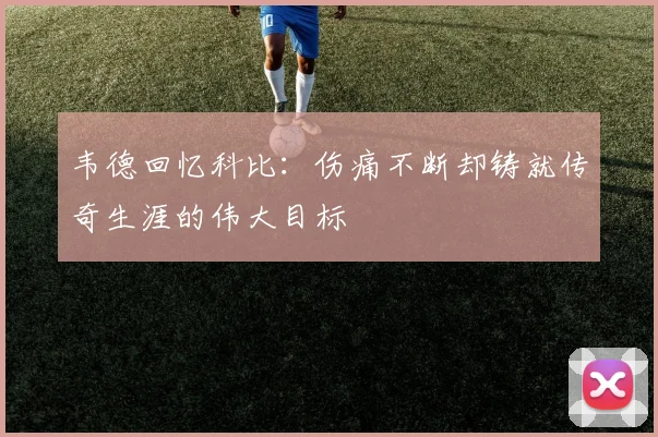 韦德回忆科比：伤痛不断却铸就传奇生涯的伟大目标