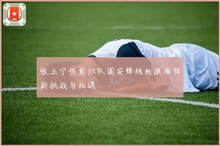 张玉宁伤愈归队国安锋线轮换面临新挑战与机遇